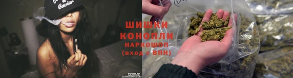 PSILOCYBIN Алексин